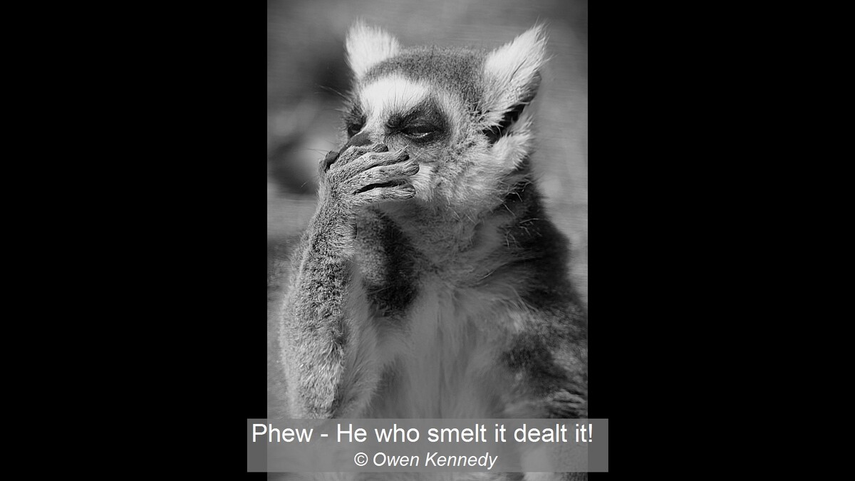 Phew - He who smelt it dealt it!